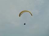 DSC08368.JPG