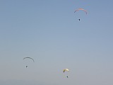 P4262995.JPG