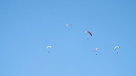 DSCF7639a.JPG
