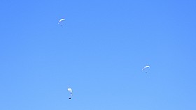 DSCN5542a.JPG