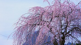 DSCN5916a.JPG
