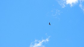 DSCN7242a.JPG
