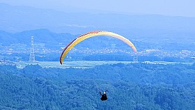 DSCN8045a.JPG