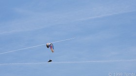 DSCN9223a_c.JPG