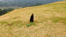 DSCN4362a_c.JPG