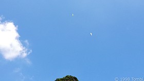 DSCN5584a_c.JPG