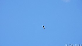 DSCN6207a_c.JPG